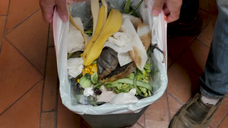 Best Carpet Removal and Disposal  in Cowan, TN